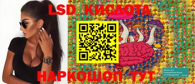 дмт Ставрополь