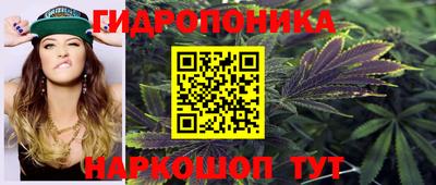 дмт Ставрополь