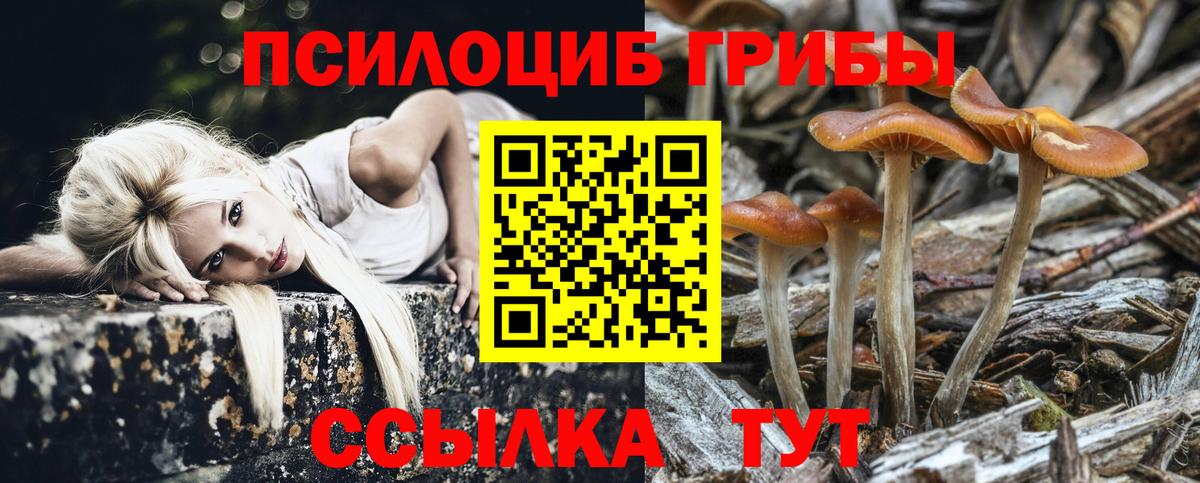 наркотики  Вход с VPN  Междуреченск  Галлюциногенные грибы GOLDEN TEACHER 